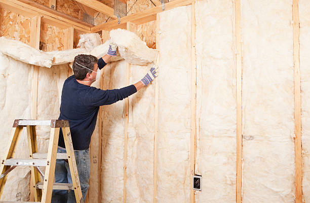 Best Eco-Friendly or Green Insulation Solutions  in Olivet, TN